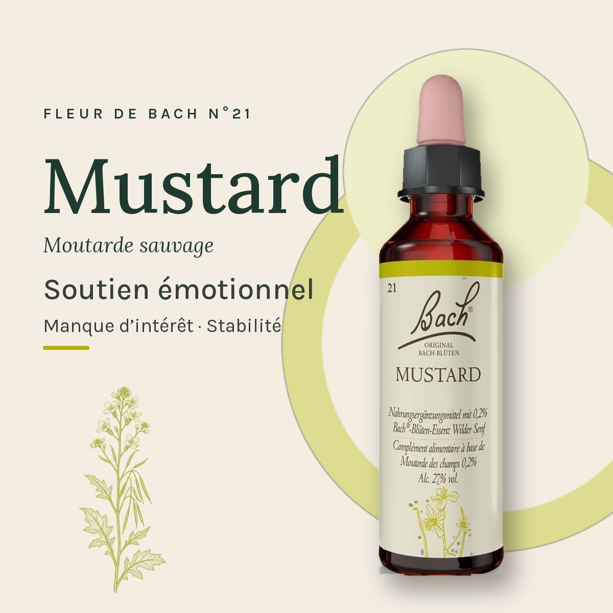 Flacon 20 ml Fleur de Bach originale n° 21 Mustard