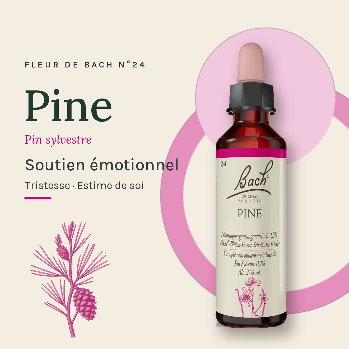 Flacon 20 ml Fleur de Bach originale n° 24 Pine