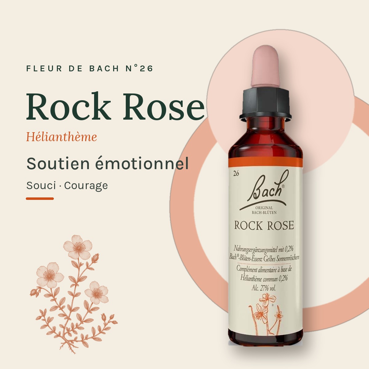 Flacon 20 ml Fleur de Bach originale n° 26 Rock Rose